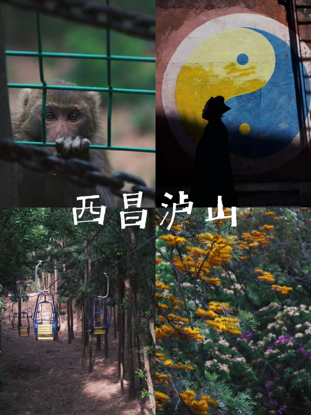 西昌泸山一日游宝藏攻略⛰