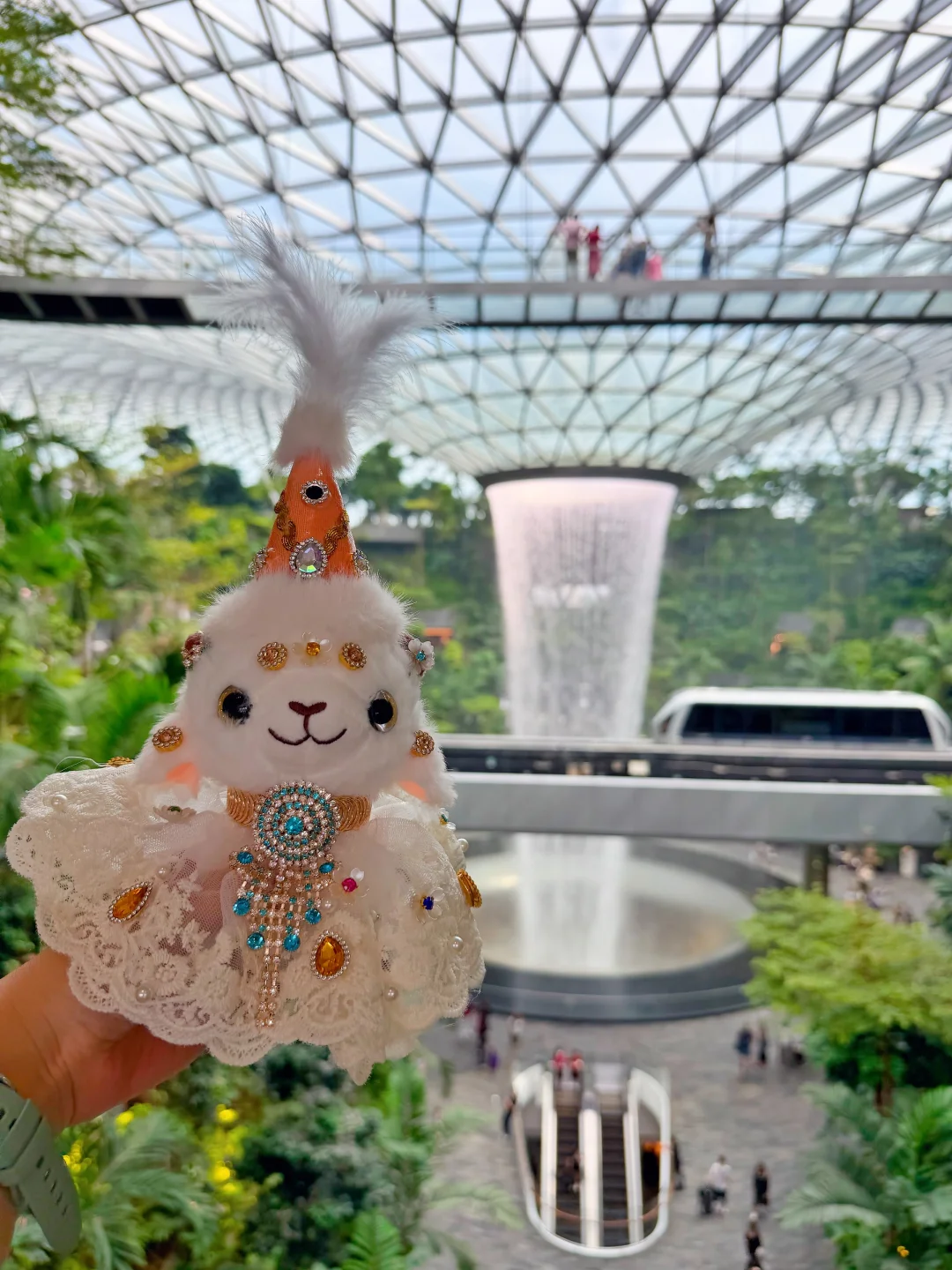 🐑和你的新疆户口说拜拜吧～绿卡已安排🇸🇬