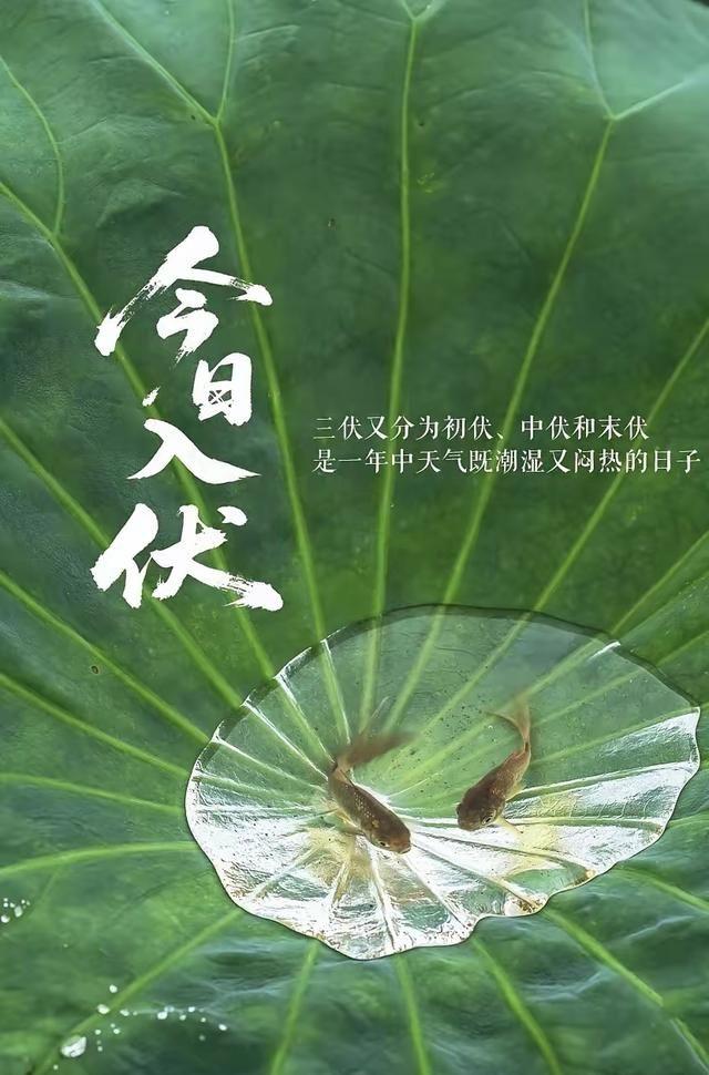 时序入初伏，暑气漫长夏。白居易有言：何以消烦暑，端居一院中。于海风里寻一抹清凉，