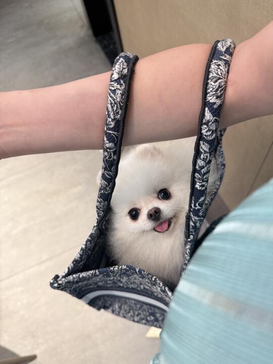 我把你揣心里，你把我揣包里