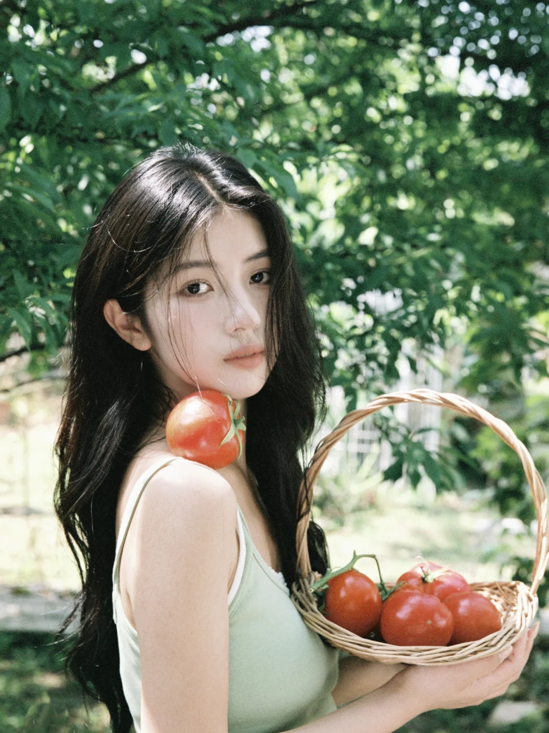 会呼吸的夏天🍅