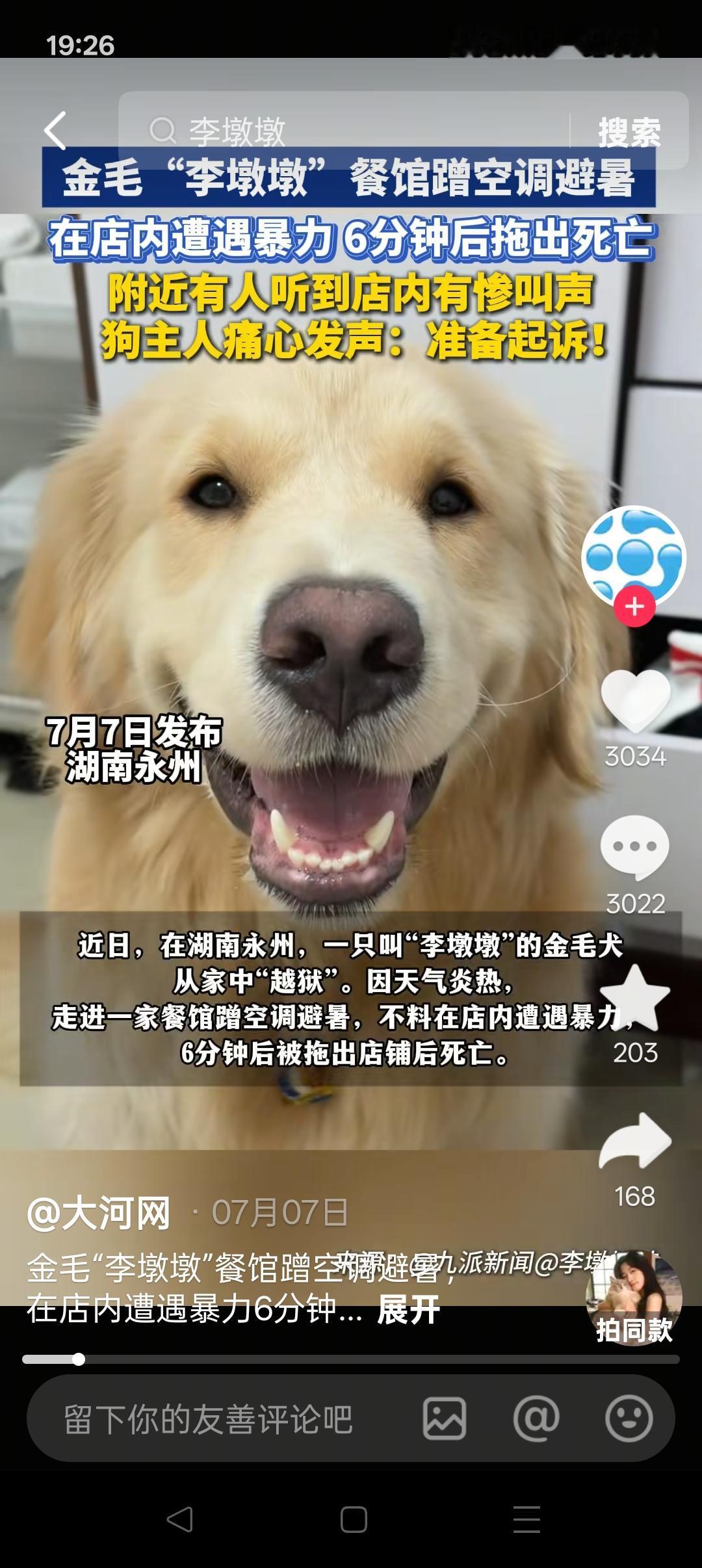 媒体不应偏向宠物，需顾及最广人民心声！
 
现在有一个舆论倾向，官媒竟然都逐渐把