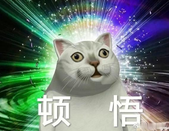 谁来管管现在的小说 部分作者好像拿捏住流量密码，疯狂复用大火设定，看个开篇几乎就