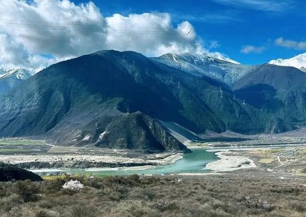 春运走心瞬间刷屏！一块高原石头、一盒染发膏，读懂中国人的团圆浪漫
 
2026年