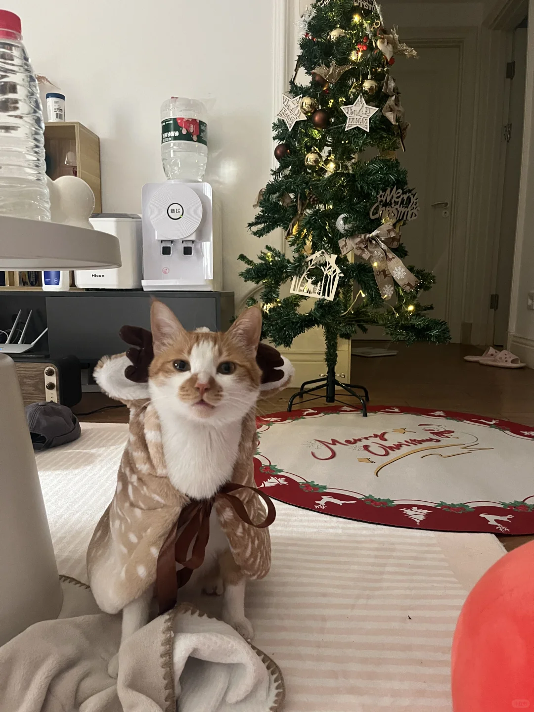 圣诞限定版怀民