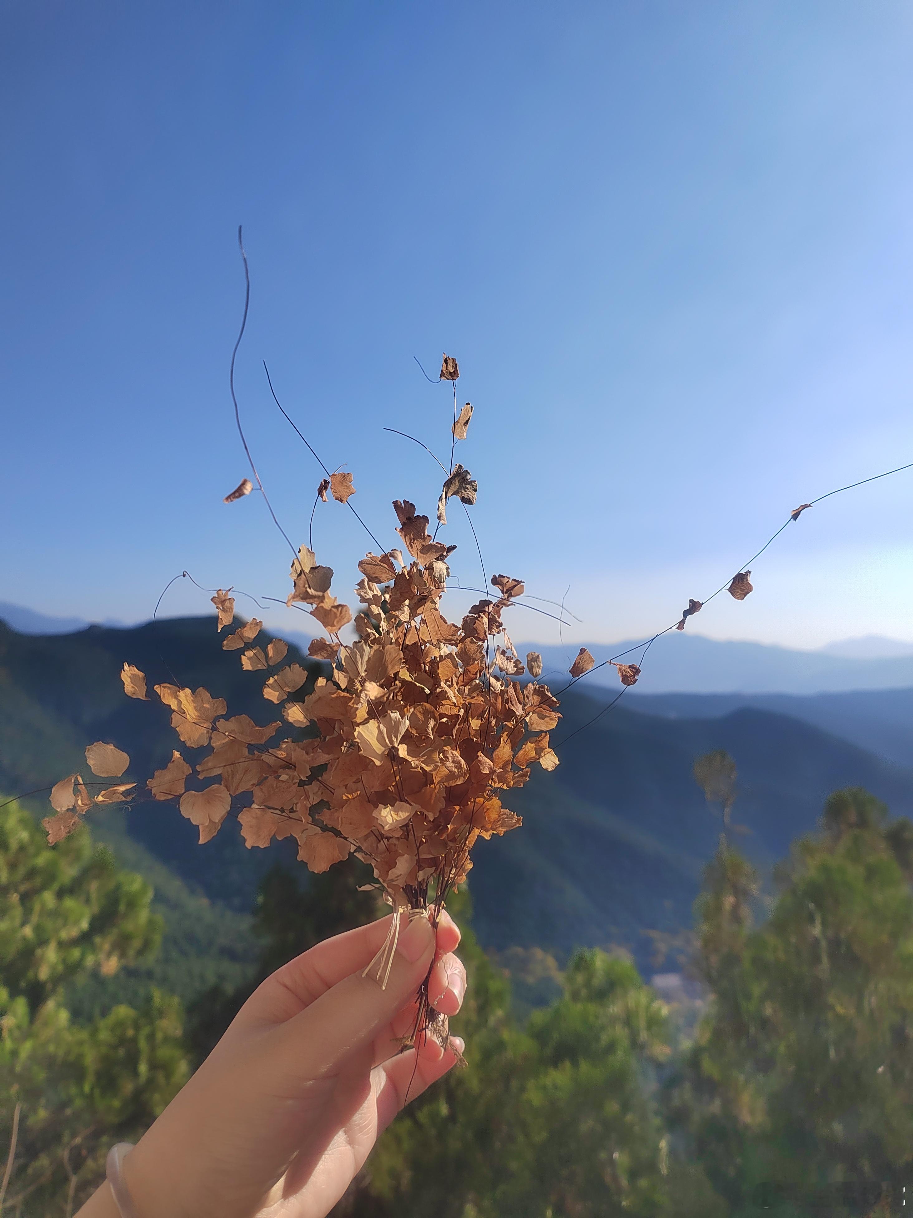 七夕我就这样安慰自己七夕还要上班，听起来很凄惨。但如果改成“七夕我已经有安排了”
