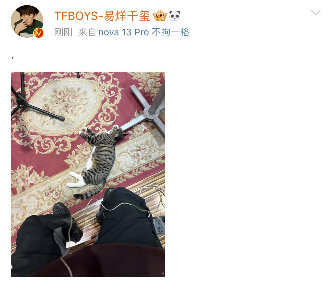 易烊千玺交到猫朋友  易烊千玺分享猫朋友  易烊千玺发博分享新交到的猫朋友，天生