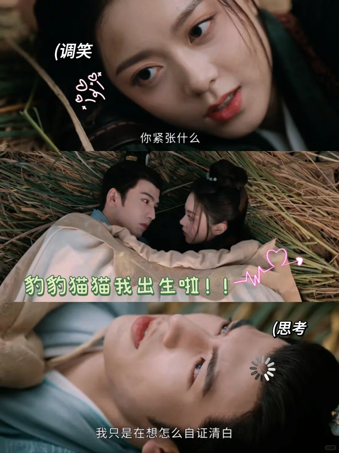 重生之裴大人变狗东西😋豹豹猫猫我出生啦