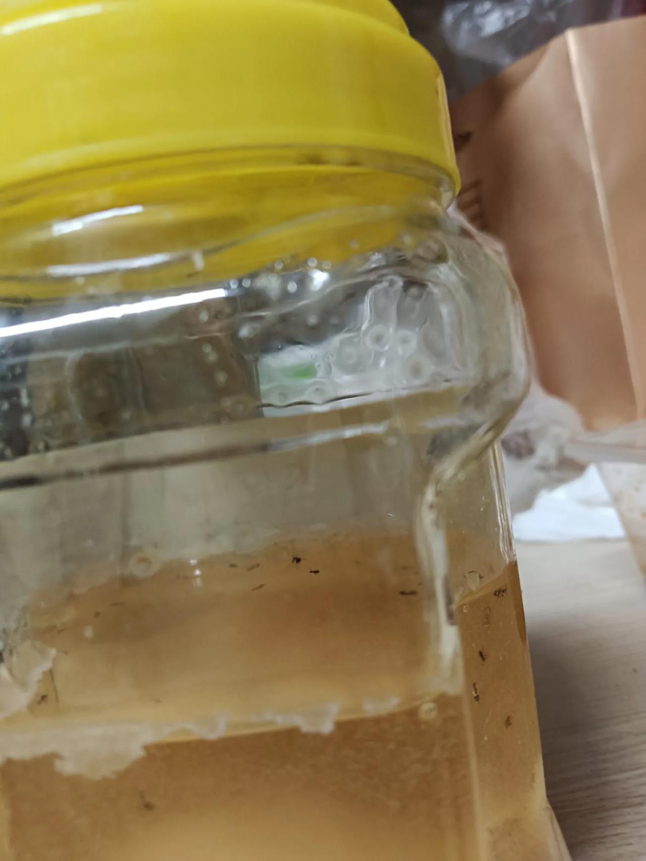 真的很无语！
夏天买的蜂蜜🍯，一直都放在柜子里，就在我找东西的时候，发现有蚂蚁
