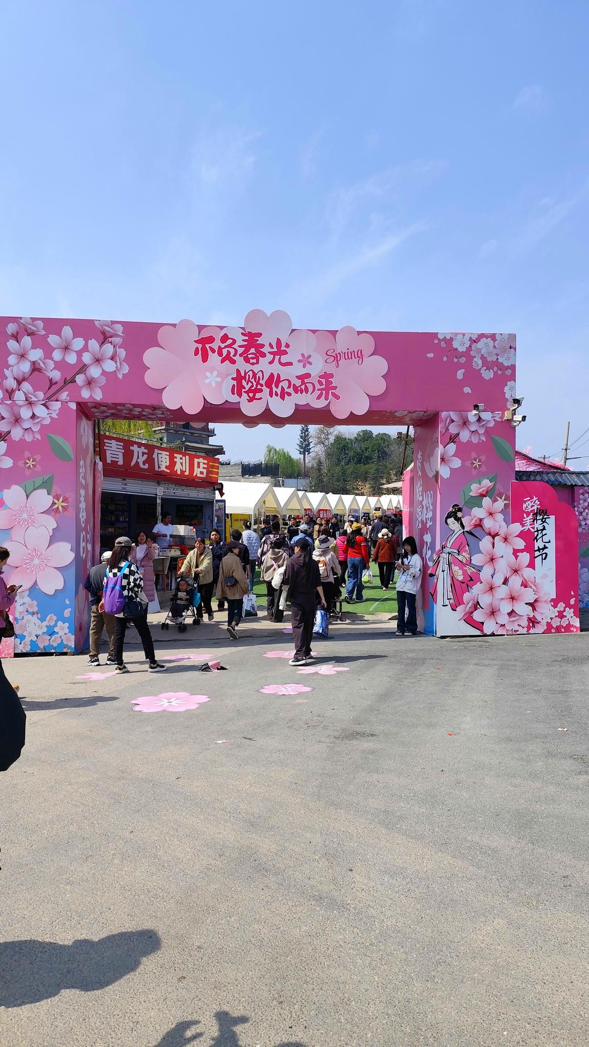 刚到青龙寺外，就迎面撞上浓浓的热闹劲儿——马路对面一座粉色的樱花主题大门格外扎眼