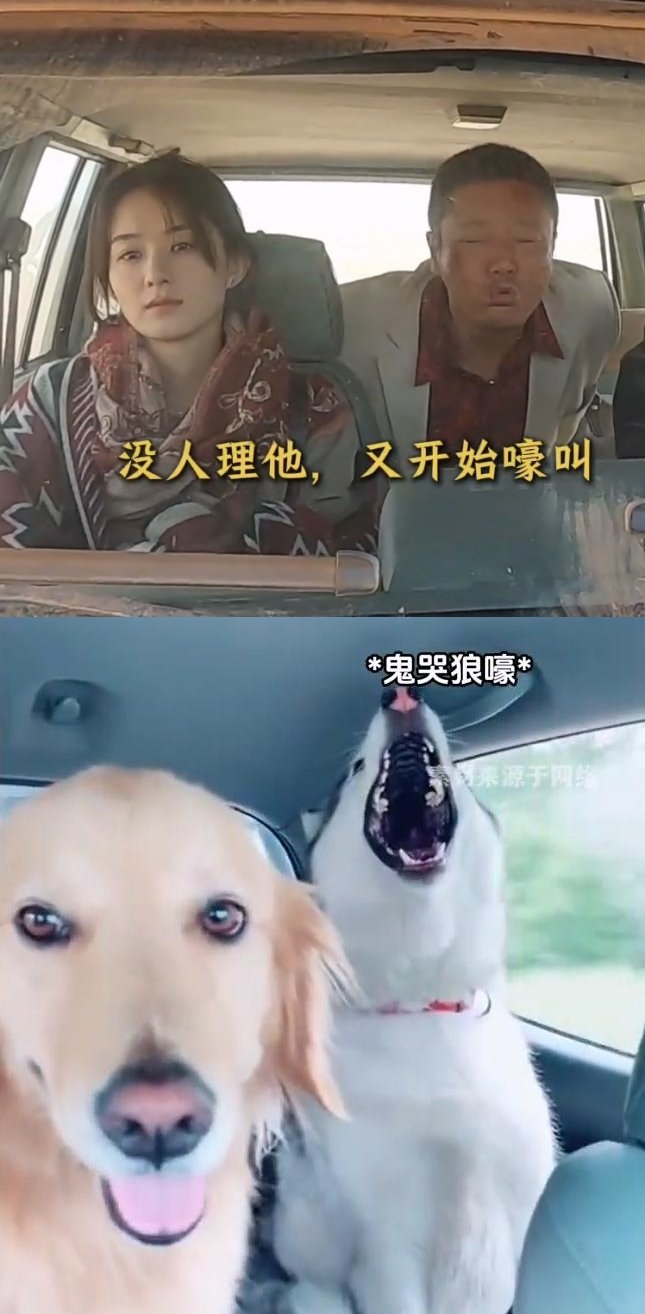 #浴火之路定档国庆# #赵丽颖# 哈哈哈哈浴火之路新花絮笑点过多！已经要笑死我了