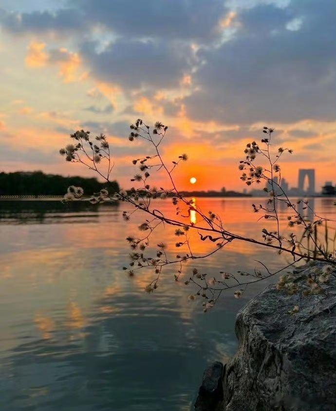 如何分清是魏征的谏言和乌鸦的杂音。为什么有些提出羚锐制药和泡泡玛特的N条问题的，