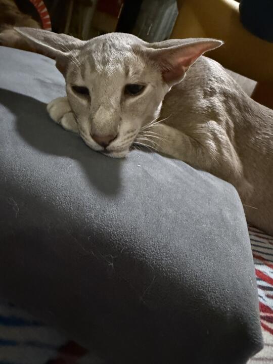 忧郁帅哥