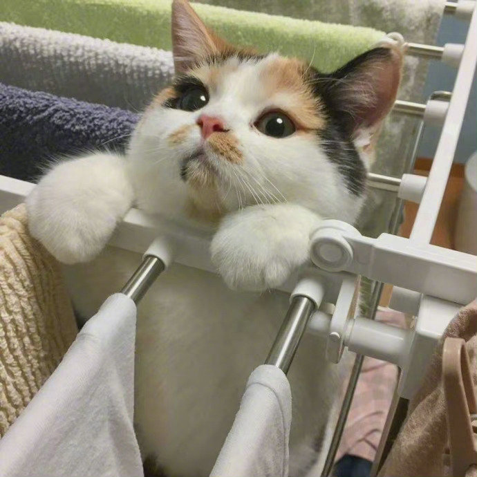 麻麻，有需要我帮忙的吗？