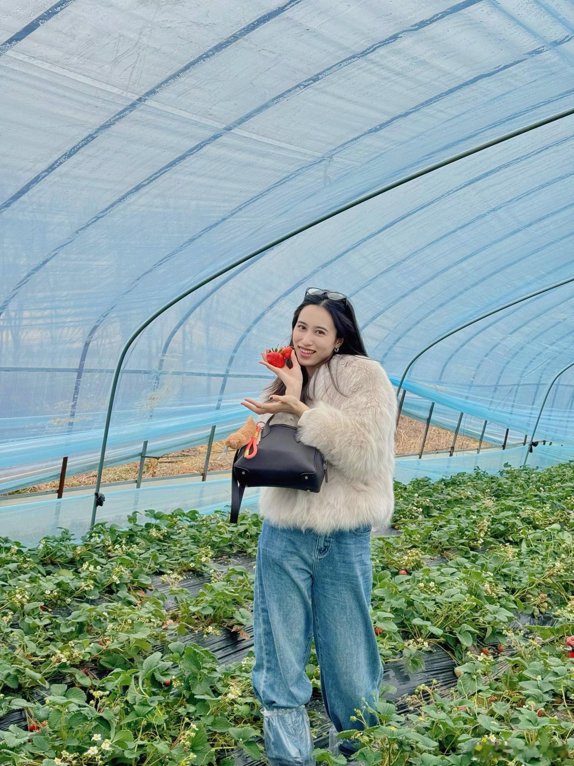 🍓早春限定·亲子采草莓记🍓今天带宝贝们来了一场“草莓大作战”，一进大棚就被满