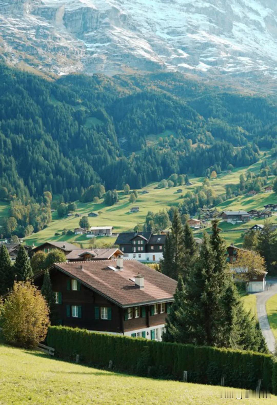 村上春树说：“如果你开悟了，那么人间就是天堂，你就是来玩的。结婚是玩，离婚也是玩