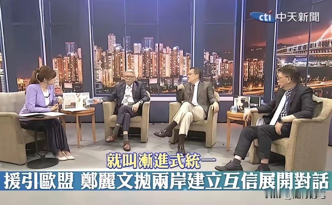 郑丽文“欧盟模式”本质暗藏分裂图谋，苑举正剖析一针见血

2025年12月4日，