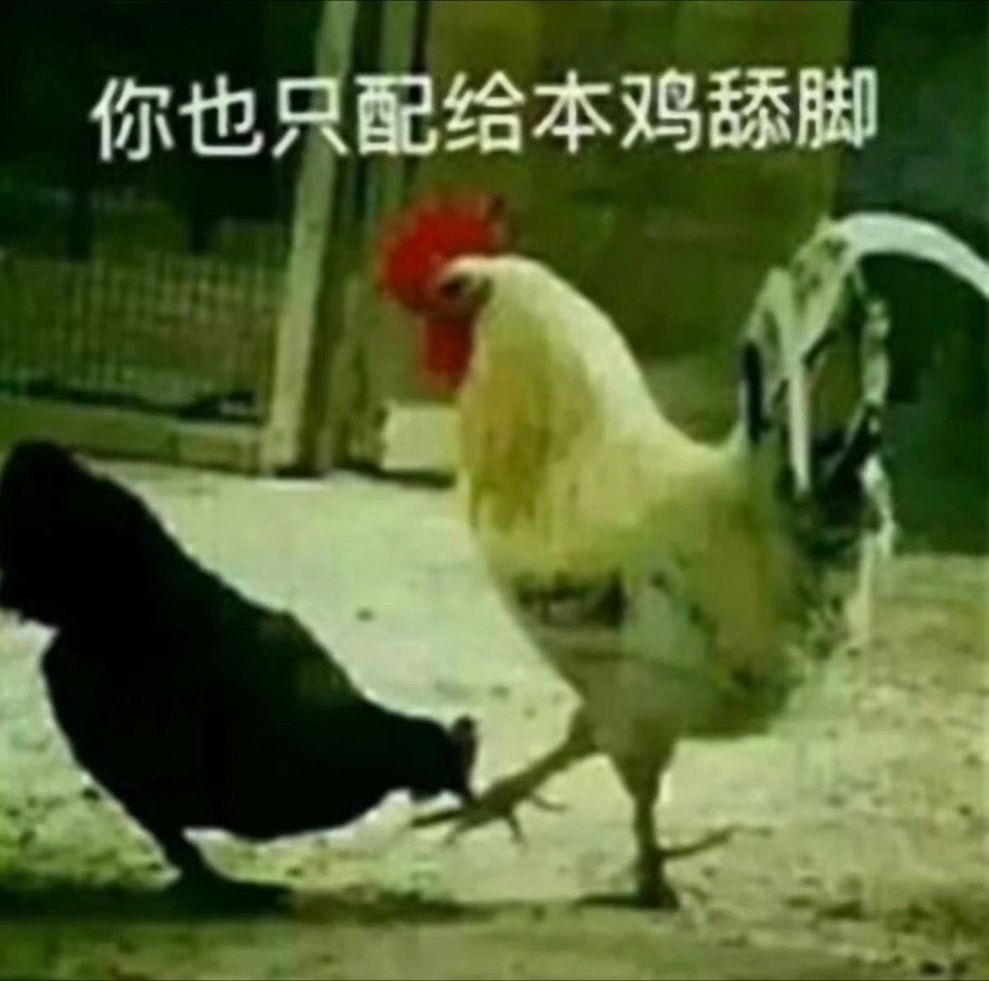 你 