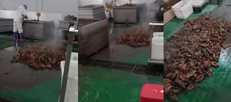 为啥食品安全问题屡禁不止？因为利润高，处罚轻。
 
涉及食品安全的，只要查实，抄