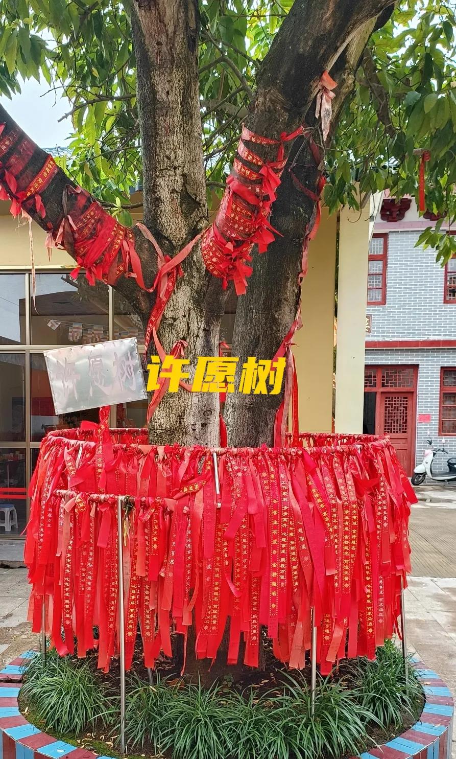 #买彩票中了百万大奖，你会怎么花#
正所谓人无横财不富，马无夜草不肥，买彩票的朋