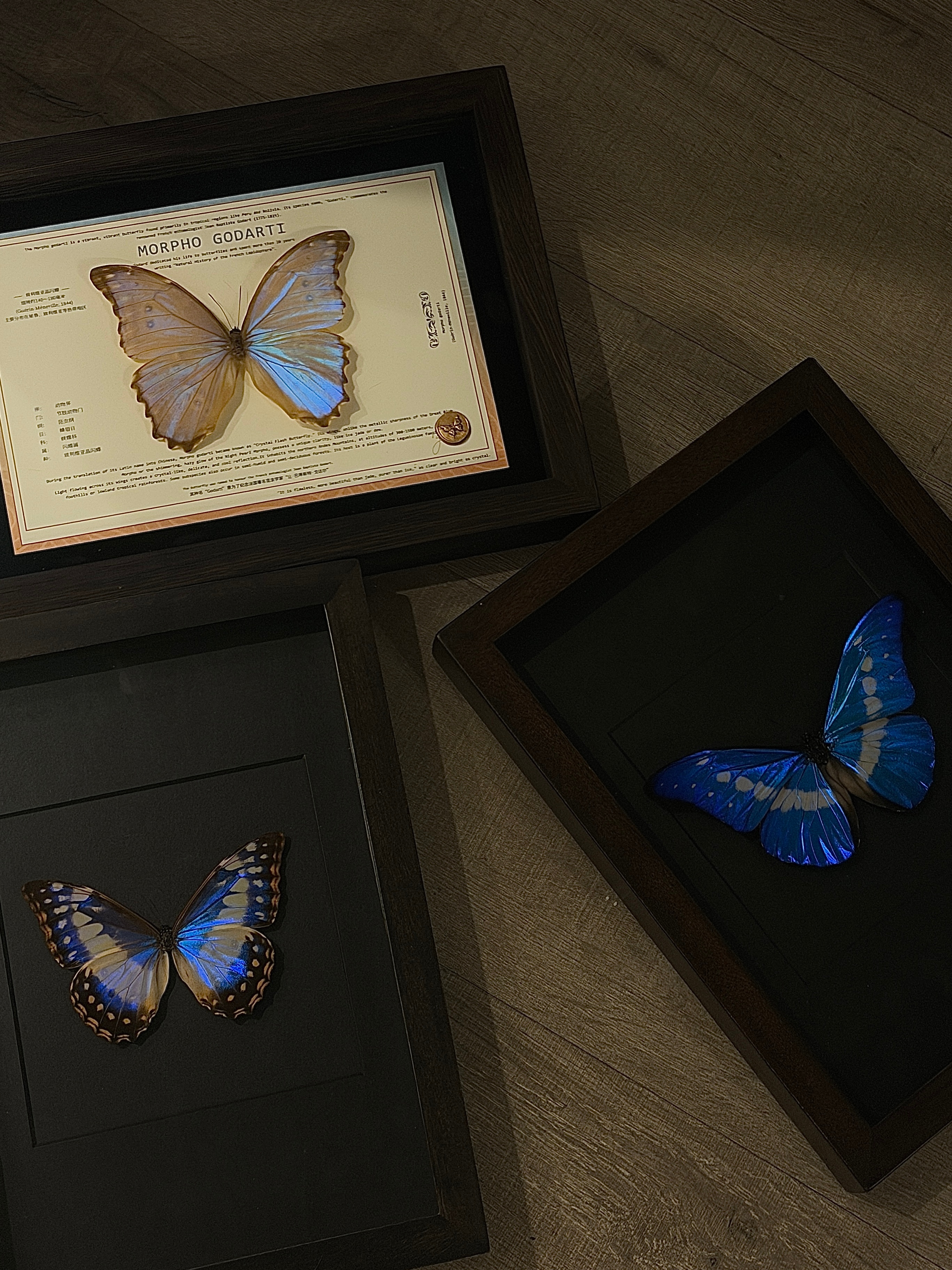 博物馆一个  我一个打算挂上墙 有什么好的方式吗木头框重的 感觉一般的挂不住