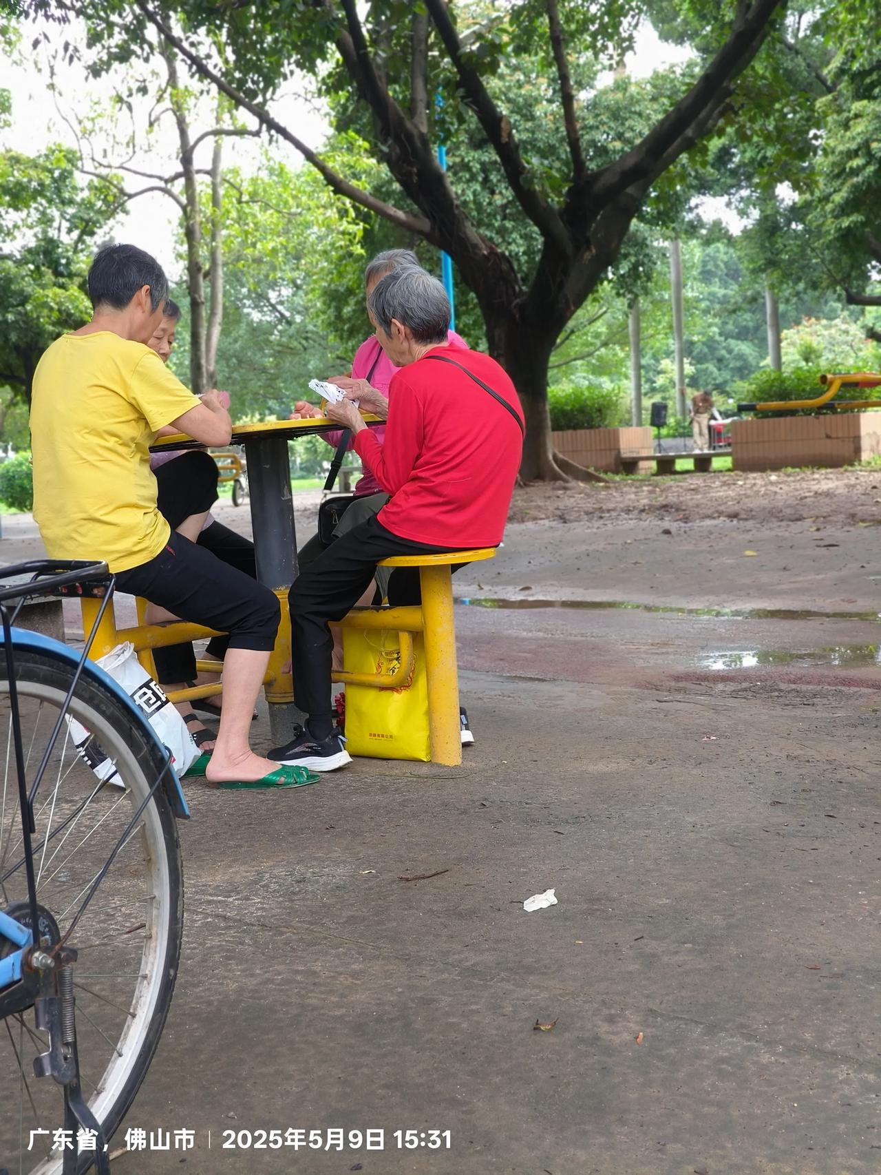 真是时代改变一切，官窑草暖公园的几大现象如今全没见了。
今天特意去了一次官窑的草