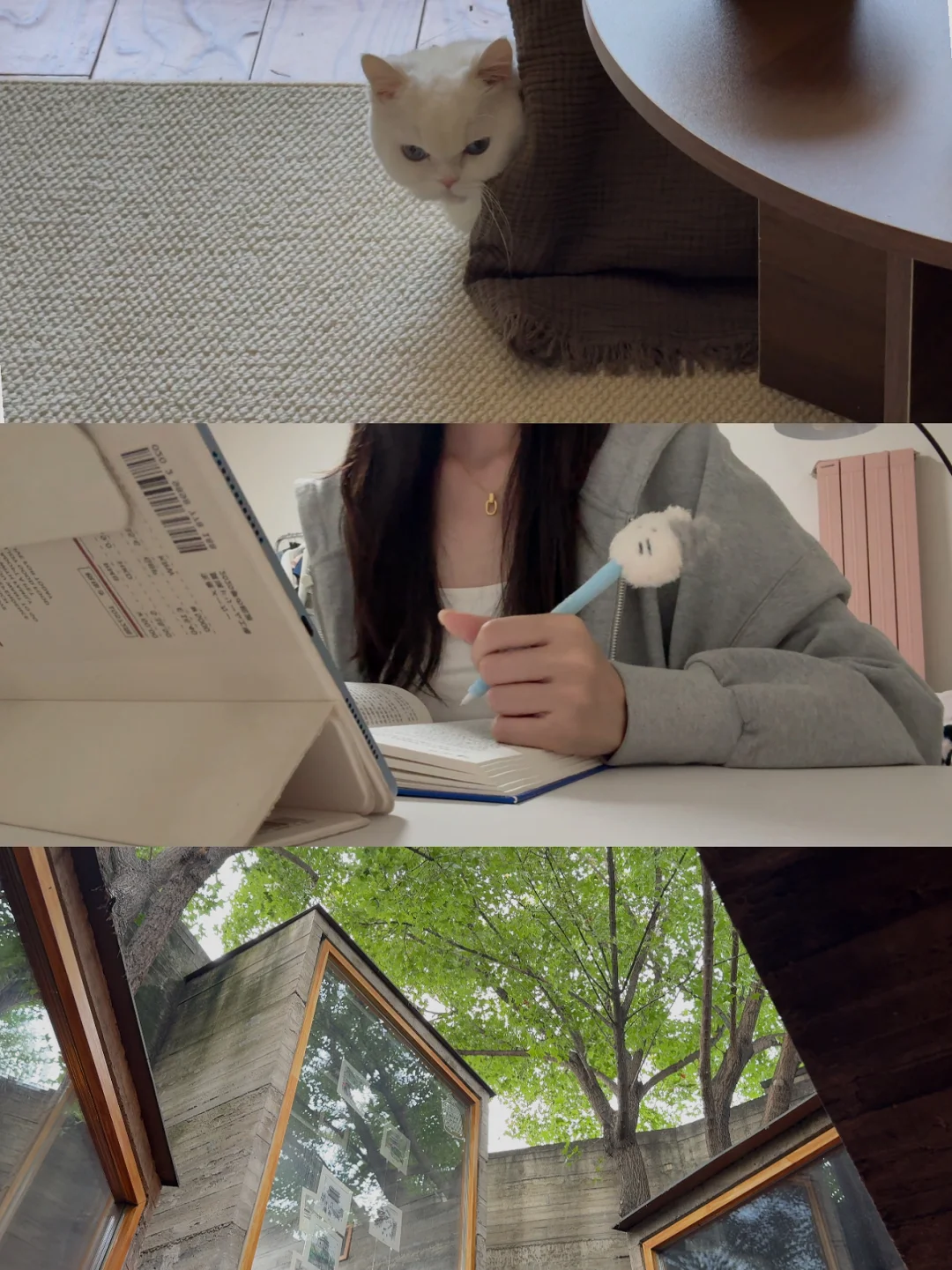 当知足凌驾于自卑之上，幸福将贯彻一生。