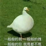 归雁爱品体育