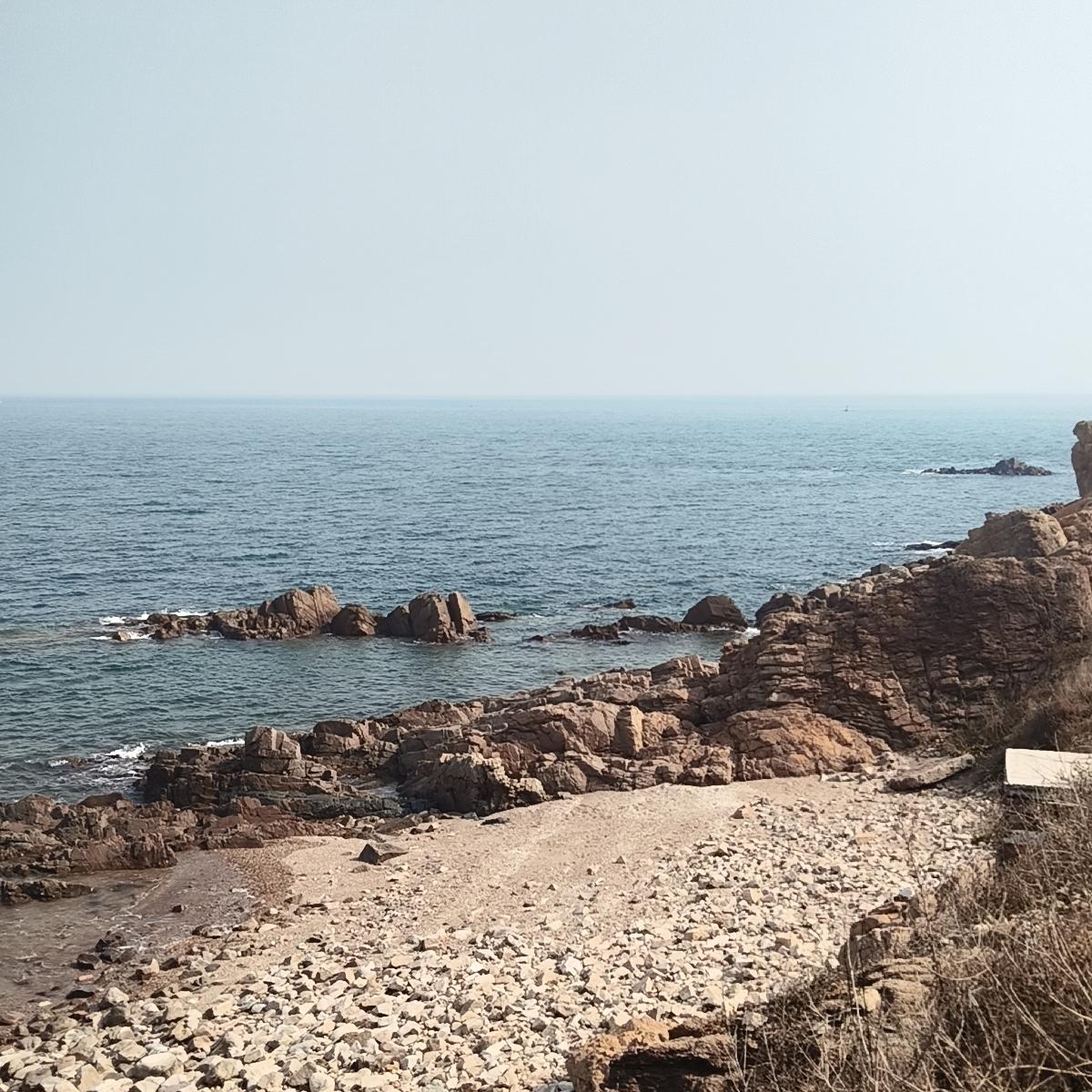 终于明白了什么叫

“种一棵树最好的时间是十年前，其次是现在”

刷到一个视频，