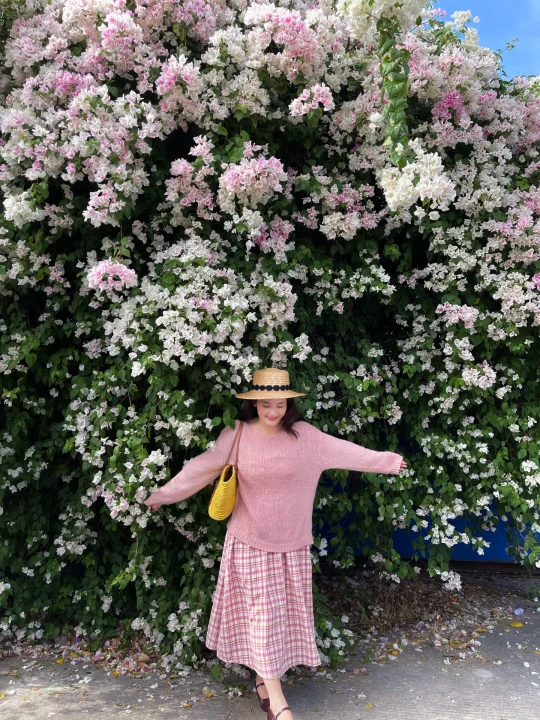 🌺  ‧₊˚𝑺𝒑𝒓𝒊𝒏𝒈 预习春天三角梅🫧