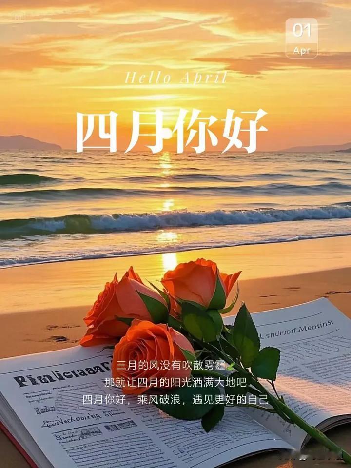 午评🕧
下一个低点3033~3039（多长时间不知道），5000点99.99%