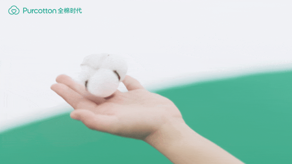 孙颖莎代言全棉时代 孙颖莎代言全棉时代，这是什么神仙组合！莎莎在赛场闪闪发光，全