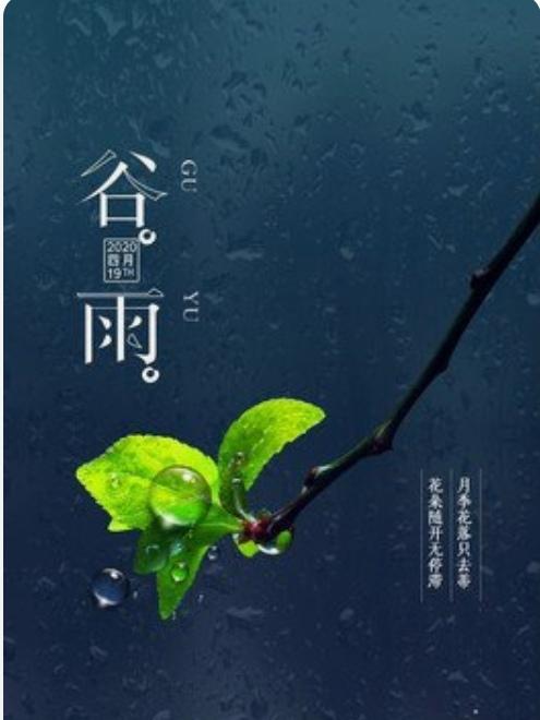 《七律～谷雨农家赋》

谷雨禾苗种不停，
蛙鸣一片满田青；
春风草木香难弃，
燕