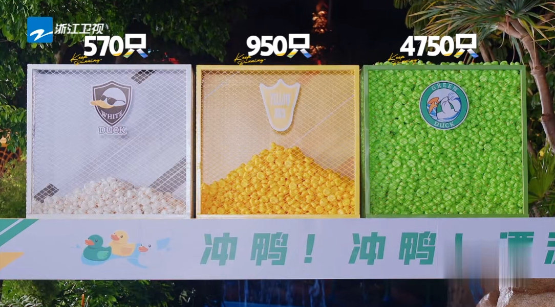 奔跑吧 昨晚漂流鸭最后环节排序小白鸭小黄鸭和小绿鸭是随机排的吗？为什么赢到最后的
