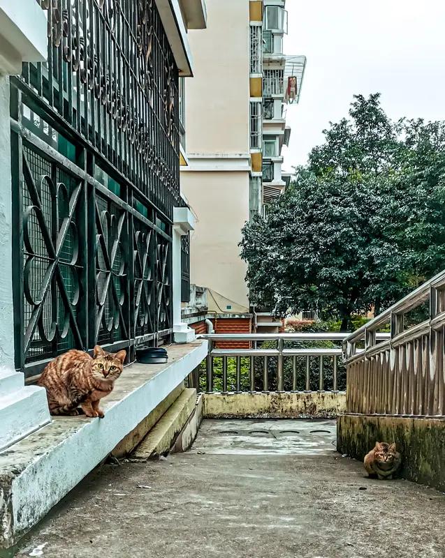 碰到不讲道理的邻居真的很闹心。之前我邻居总把垃圾放我家门口，说过几次都没用。
遇