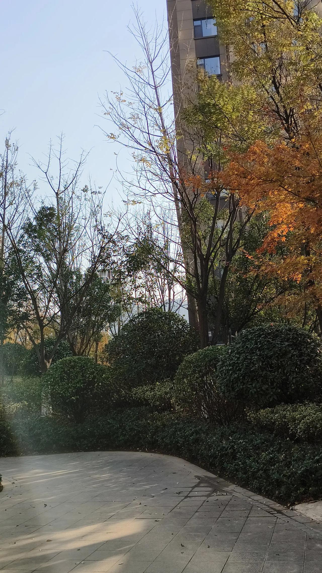 二零二四年的十一个月就这么过去了。
很多时候，我们做事情都得等待明天。
我们其实