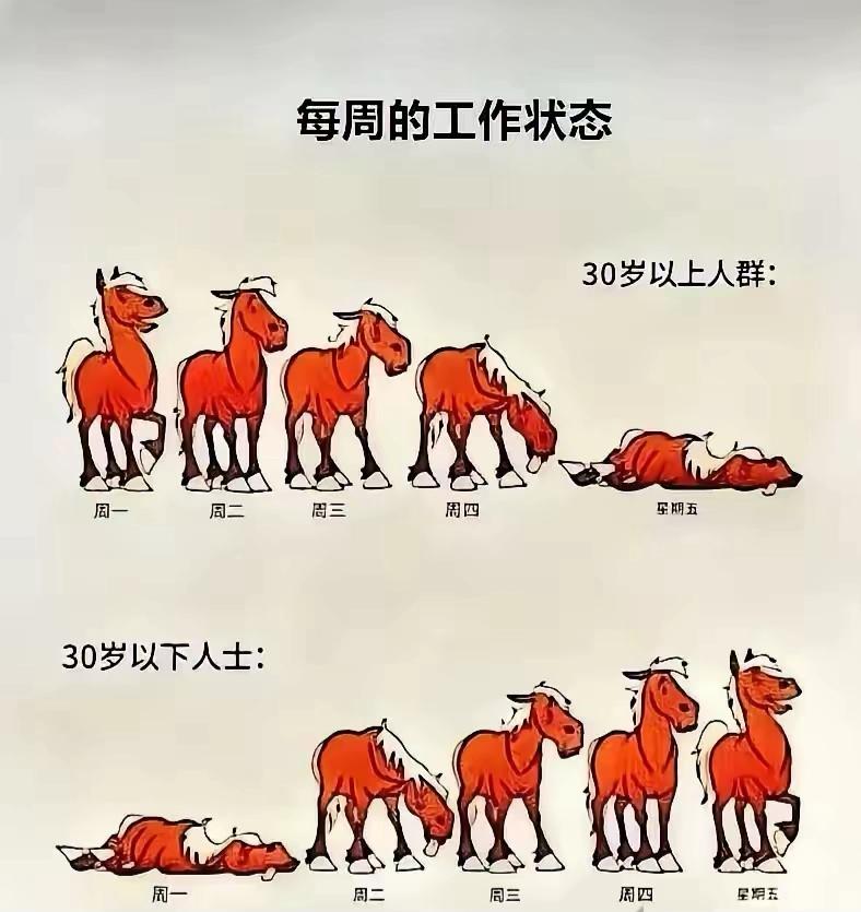 “我的天呀！太对了”