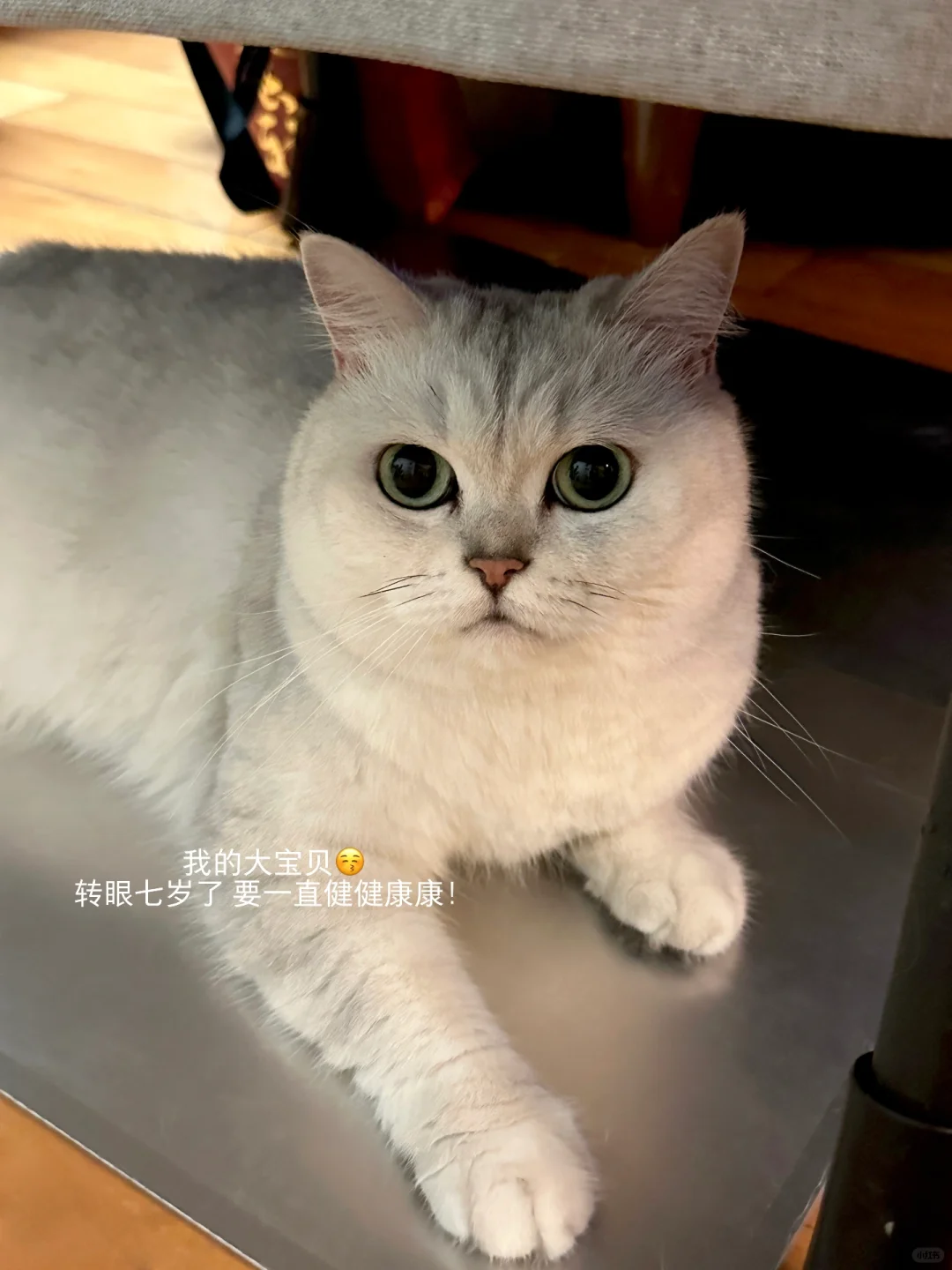 plog🐾一些九月生活⌛️ଓ⁾⁾