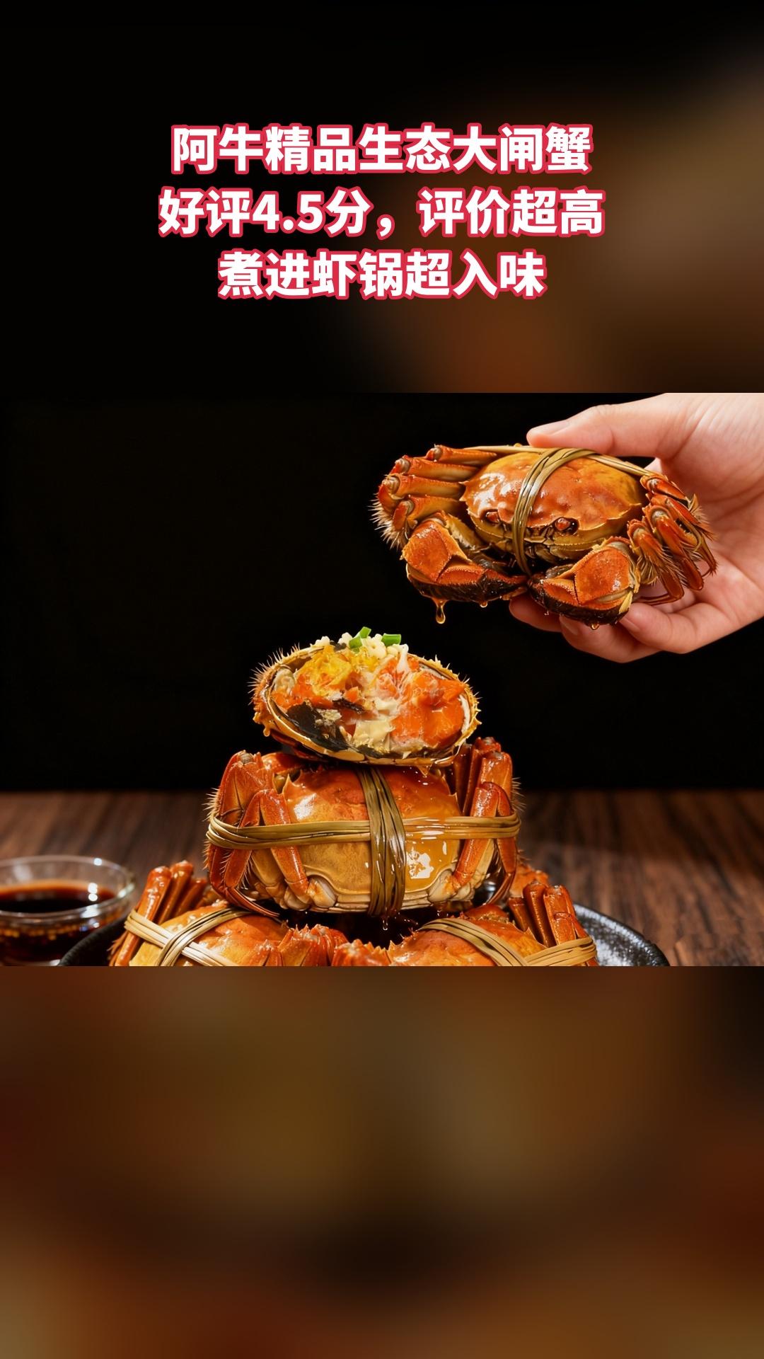 阿牛精品生态大闸蟹，超值团购，4.5分推荐，大闸蟹公母蟹2-4人（注意...