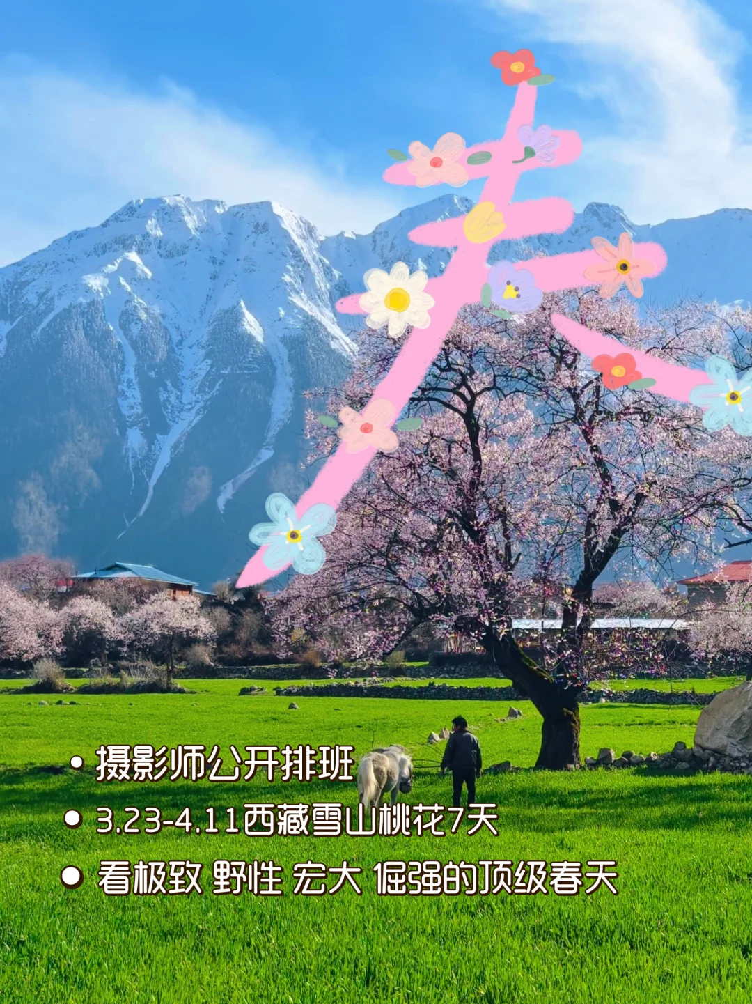 3-4月西藏桃花季，你的摄影师已就位！