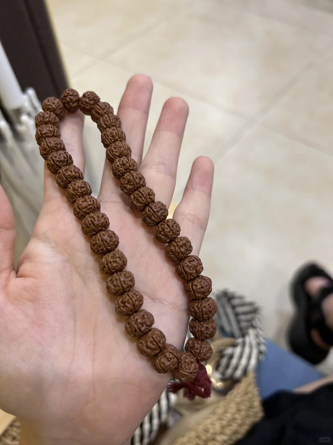 金刚子还是最爱树王