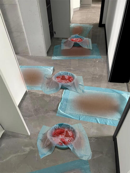 物业说：谢谢你提高了整个小区的入住率