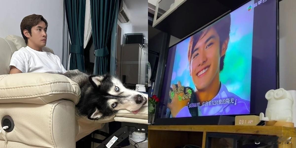 李日朗抱狗重温《当四叶草碰上剑尖时》，狗狗反应真实又搞笑！
巴黎奥运圆满结束，今