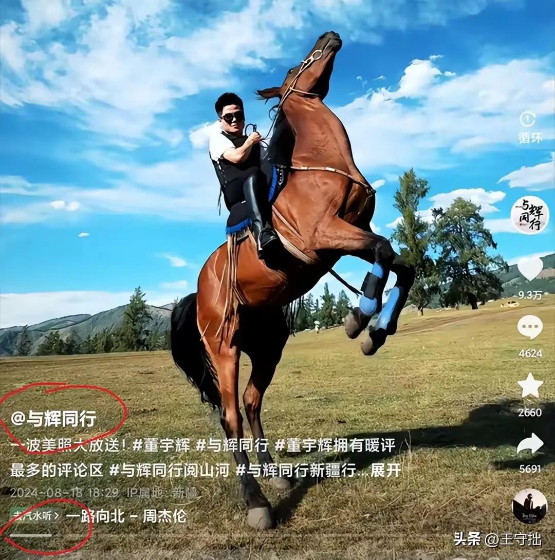 【在乌鸦的世界里，天鹅是有罪的】
有人说直播带货就是赚钱的一门营生，不要总打着助