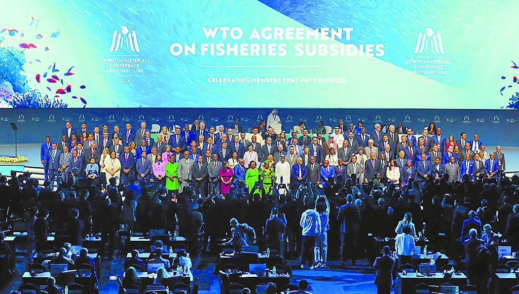 台当局决定：“不出席”。
台湾地区迎来25年来首次缺席世贸组织（WTO）部长会议