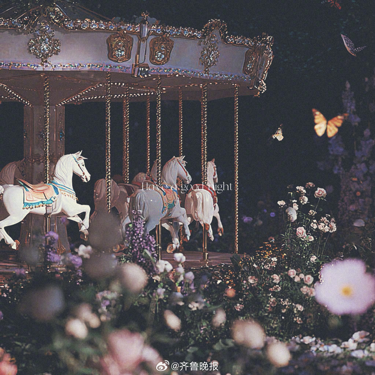 光芒再小也要永远闪亮 #晚安#