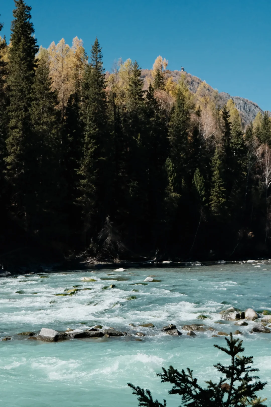 10.1的喀纳斯湖🫧🍁好治愈的蓝绿色