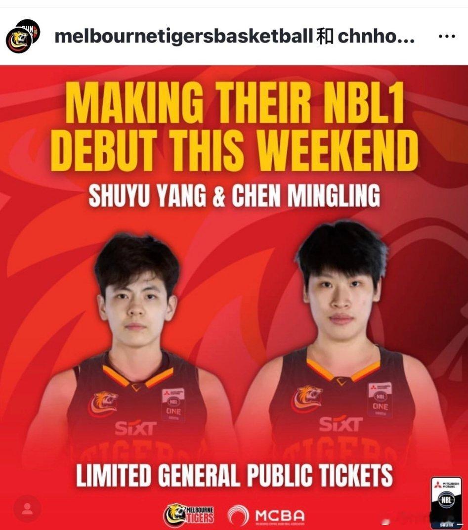 杨舒予杨舒予NBL1 20260424小羊和大手将会于本周末迎来NBL1首秀墨尔