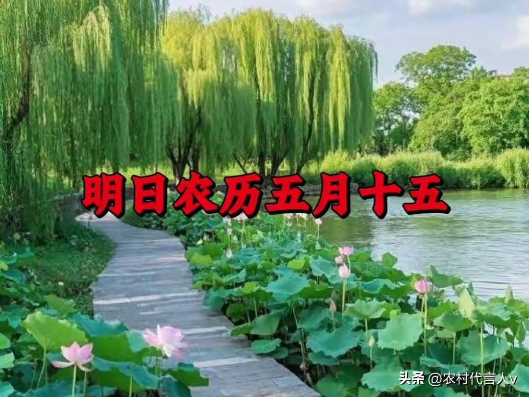 明日农历五月十五月圆，大端午，守住老习俗，一年少病痛多福气
 
农历五月十五，皓