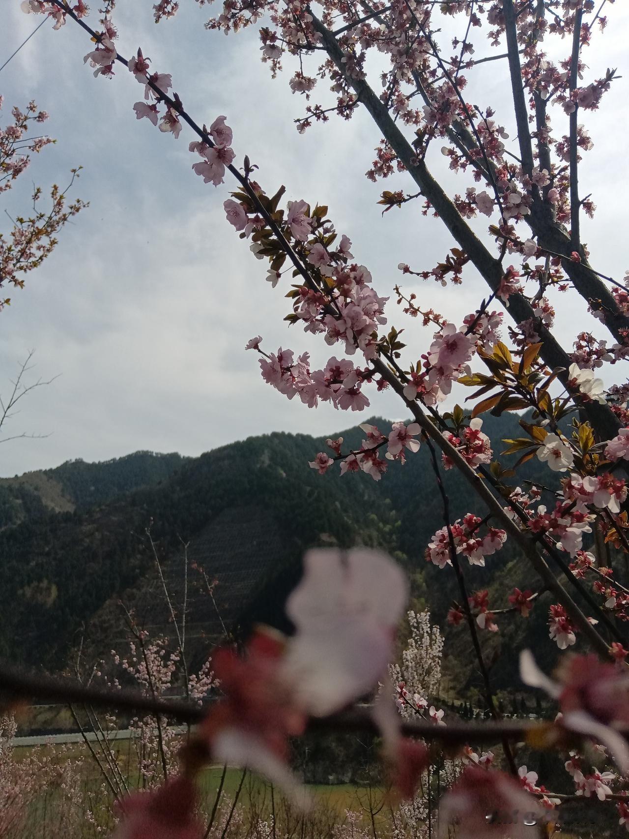 炒股最稳妥的方法！

表弟分享他炒股的方法，他说，他从来
不信什么技术分析，内幕